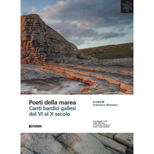 Poeti della marea. Canti bardici gallesi dal VI al X secolo. ì